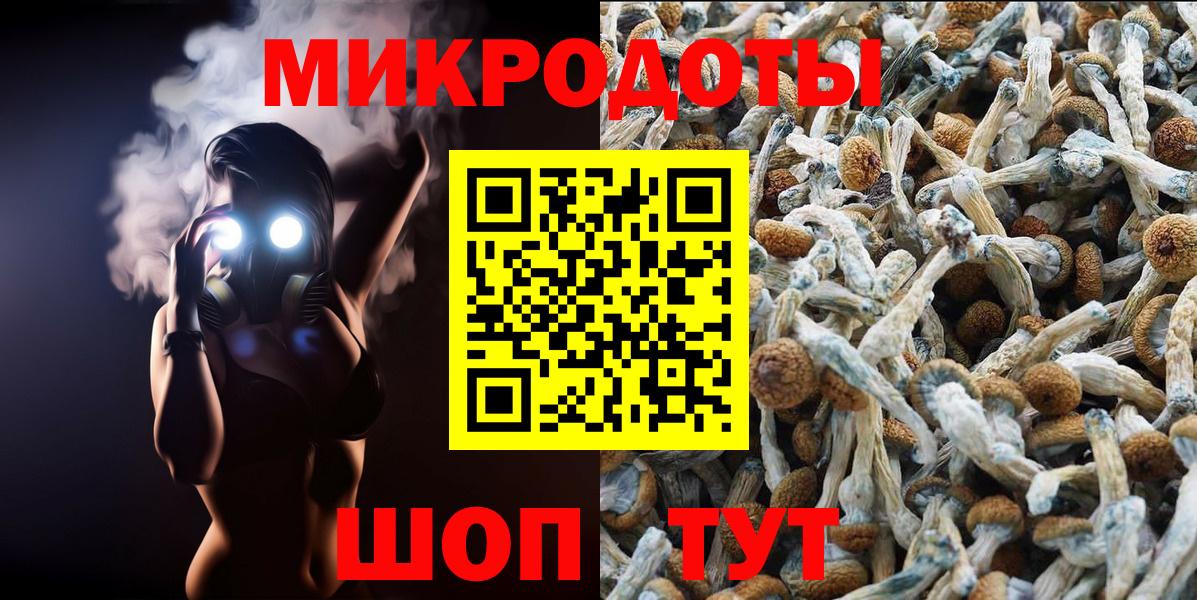 Галлюциногенные грибы мухоморы Тайшет