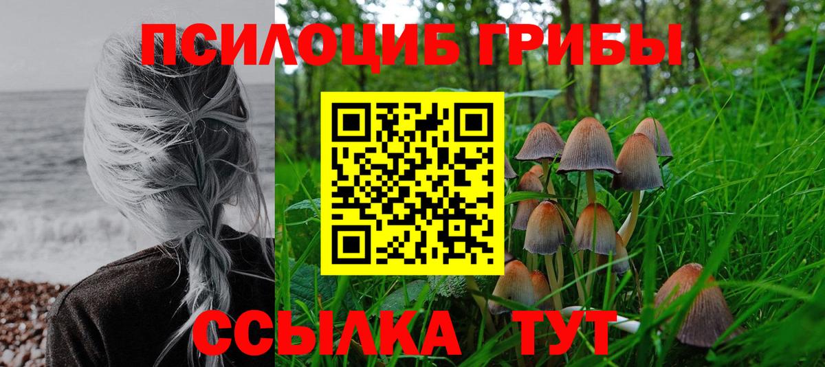 Псилоцибиновые грибы Psilocybine cubensis  Вход с VPN  Тайшет 